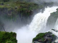 Cataratas del iguaazu (18)