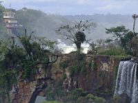 Cataratas del iguaazu (20)
