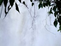 Cataratas del iguaazu (21)