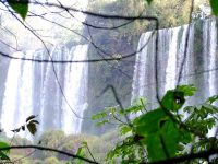 Cataratas del iguaazu (22)