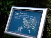 Cataratas del iguaazu (24)