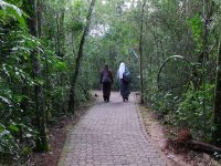 Cataratas del iguaazu (31)