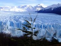 Perito Moreno (51)