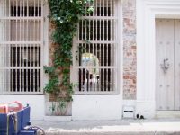 Cartagena de Indias (20)