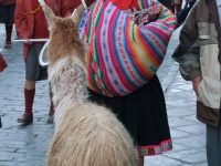 Cusco (16)