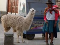 Cusco (28)