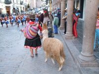 Cusco (93)
