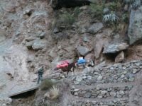 Machu Pichu (137)