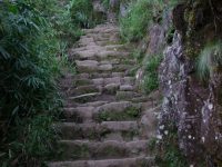 Machu Pichu (142)