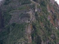 Machu Pichu (53)