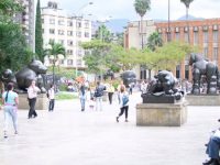 Medellin (60)