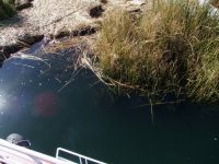 Titicaca (10)