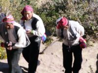Titicaca (34)