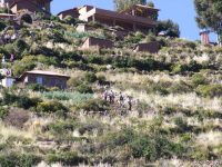 Titicaca (7)
