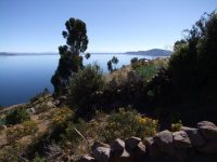 Titicaca (8)