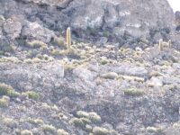 Uyuni (6)